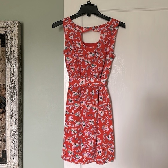 Gap Floral Print Cinch Waist Dress - Blaze - Picture 6 of 15
